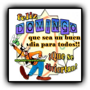 Frases De Feliz Domingo Para Todos Para Celular