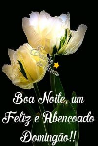 Frases De Feliz Domingo Para Whatsapp