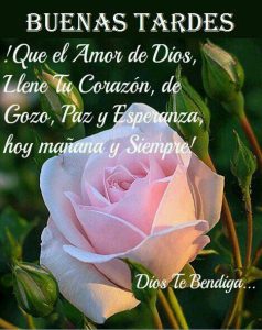 Frases De Feliz Tarde Para Facebook Y Whatsapp