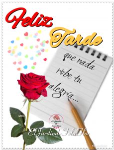 Frases De La Tarde Para Facebook Y Whatsapp