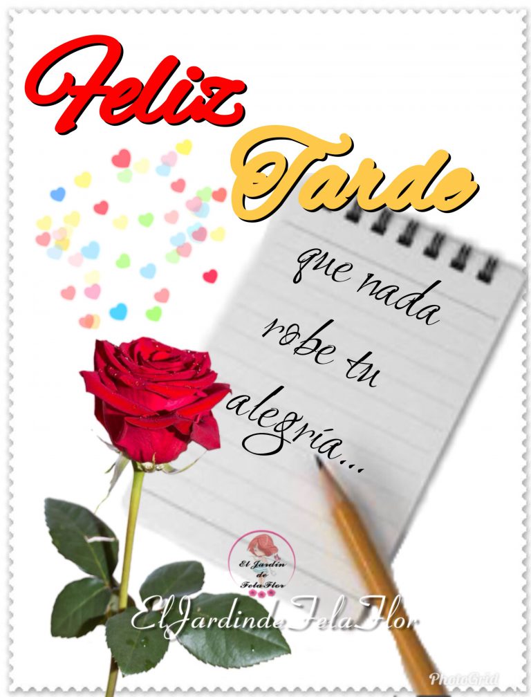 Frases De La Tarde Para Facebook Y Whatsapp