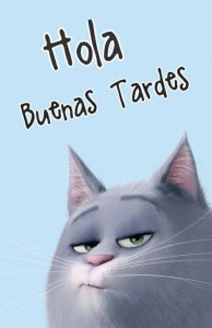 Frases De Linda Tarde Amor Para Whatsapp Celular