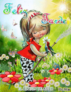 Frases de linda tarde gif animadas