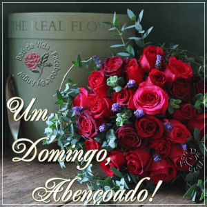 Frases De Lindo Domingo Para Celular