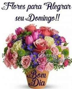 Frases De Los Domingos Para Celular