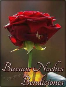 Frases de muy buenas noches