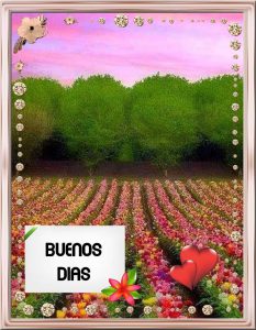 Frases De Muy Buenos Dias Amor Para Celular