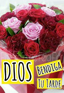 Frases De Tardes Bonitas Para Whatsapp Celular