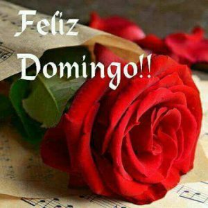 Frases Del Dia Domingo Con Imagenes Para Celular
