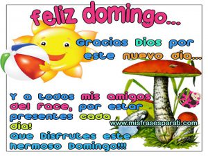 Frases Del Dia Domingo Para Facebook Para Celular