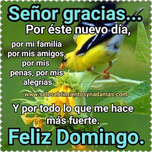 Frases Domingo En Familia Para Celular