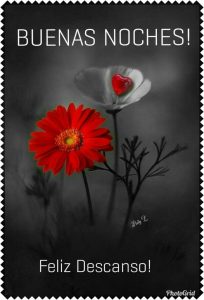 Frases Dr Buenas Noches Para Celular