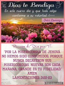 Frases Dr Buenos Dias Para Celular