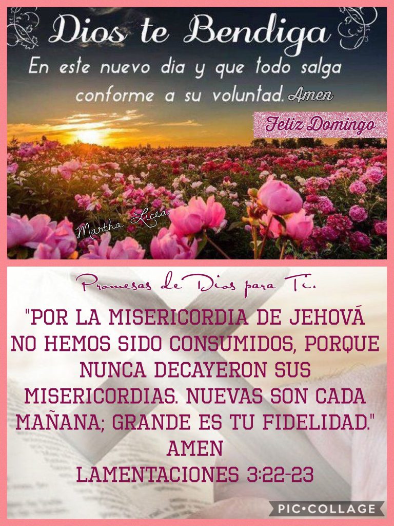 Frases Dr Buenos Dias Para Celular