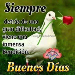 Frases E Imagenes De Buenos Dias Mi Amor Para Mi Amor