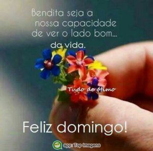 Frases Feliz Domingo Amigos Para Celular