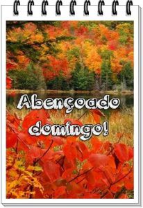 Frases Feliz Domingo Para Todos Para Celular