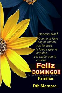 Frases Graciosas De Domingo Para Celular