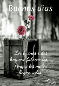 Frases Hermosas De Amor De Buenos Dias Para Celular