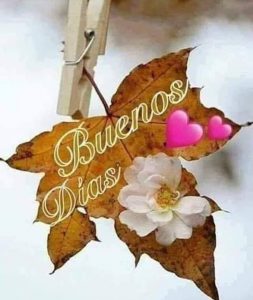 Frases Hermosas De Amor De Buenos Dias Para Descargar