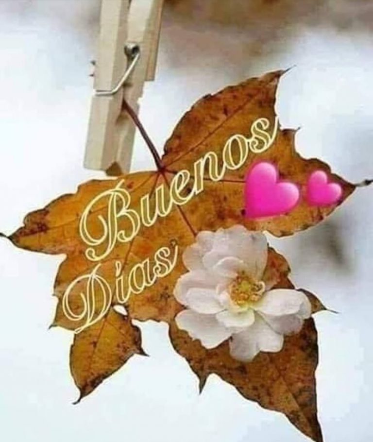 Frases Hermosas De Amor De Buenos Dias Para Descargar