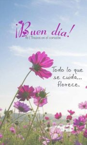 Frases Hermosas De Amor De Buenos Dias Para Facebook