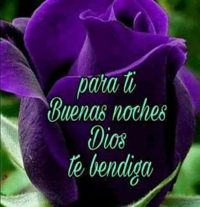 Frases Hermosas De Buenas Noches Para Mi Amor Para Facebook