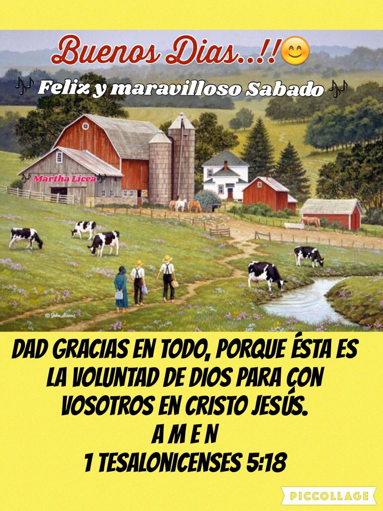 Frases Hermosas De Buenos Dias Para Celular