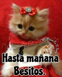 Frases Hermosas Para Dar Las Buenas Noches