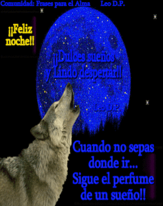 Frases lindas d buenas noches para WhatsApp