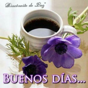 Frases Lindas De Amor De Buenos Dias