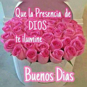 Frases Lindas De Amor De Buenos Dias Para Whatsapp