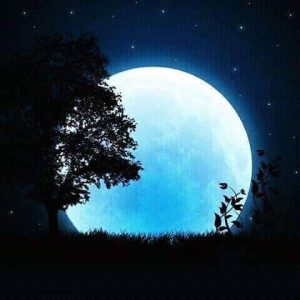 Frases Lindas De Buenas Noches Amor Para Celular