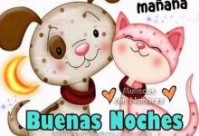 Photo of Frases Lindas De Buenas Noches Amor Para Whatsapp
