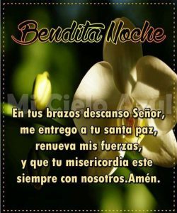 Frases Lindas De Buenas Noches Para Mi Amor Para Celular