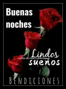 Frases Lindas De Buenas Noches Para Mi Novia