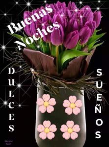 Frases Lindas De Buenas Noches Para Whatsapp