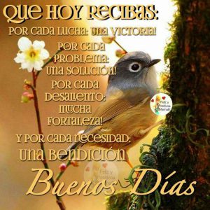 Frases Lindas De Buenos Dias Amor