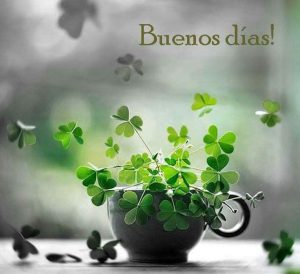 Frases Lindas De Buenos Dias Amor Para Celular