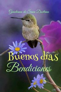 Frases Lindas De Buenos Dias Amor Para Facebook