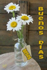 Frases Lindas De Buenos Dias Amor Para Una Amiga