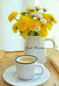 Frases Lindas De Buenos Dias Amor Para Whatsapp