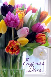 Frases Lindas De Buenos Dias Para Enamorar Para Celular