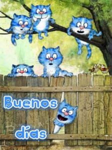 Frases Lindas De Buenos Dias Para Enamorar Para Mi Amor