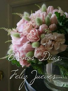 Frases Lindas De Buenos Dias Para Enamorar Para Una Amiga