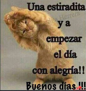 Frases lindas de buenos días para una amiga