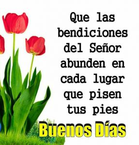 Frases Lindas De Buenos Dias Para Whatsapp
