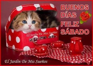 Frases Lindas De Feliz Sabado Para Whatsapp