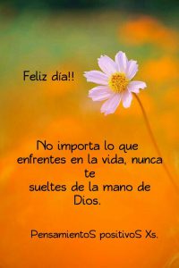 Frases Lindas Para Buenos Dias Para Descargar