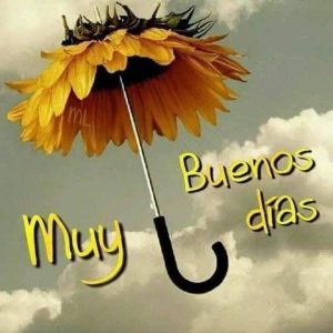 Frases Lindas Para Buenos Dias Para Una Amiga